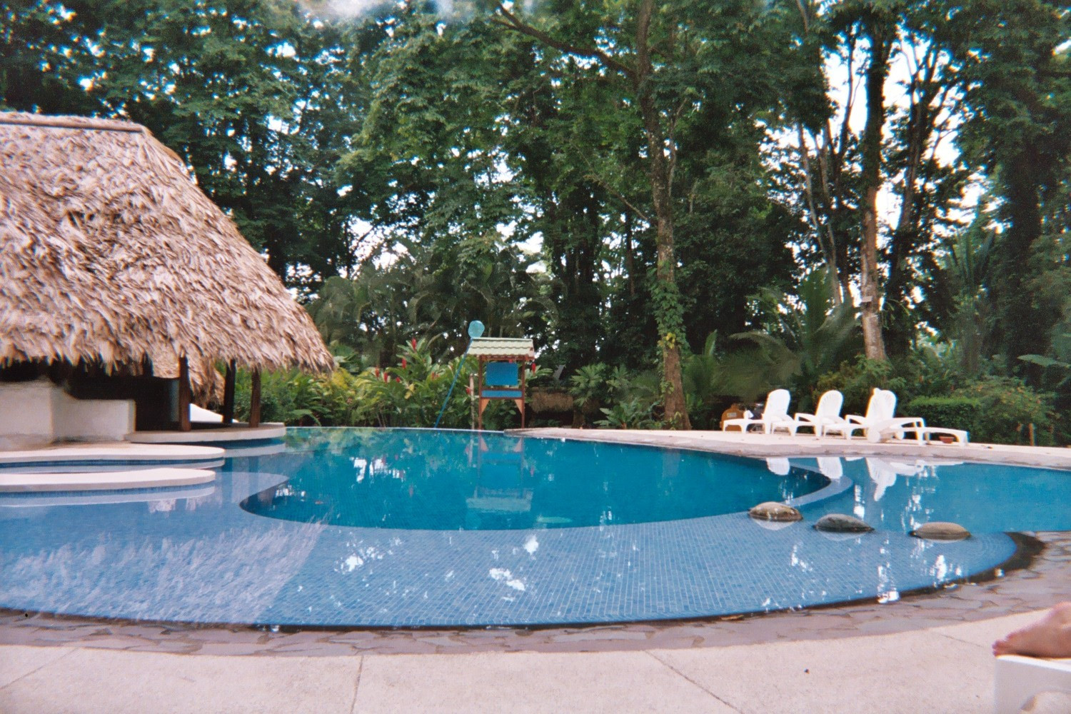 Swimming Pool Landscape Designs
 Backyard Landscaping Ideas Swimming Pool Design