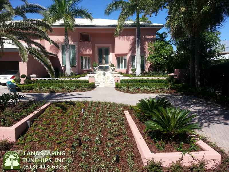 Tampa Landscape Design
 Tampa Landscape Design Improvements for Existing Yards