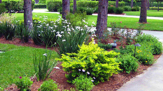 Tampa Landscape Design
 Northern inspired Landscape Design for Tampa FL