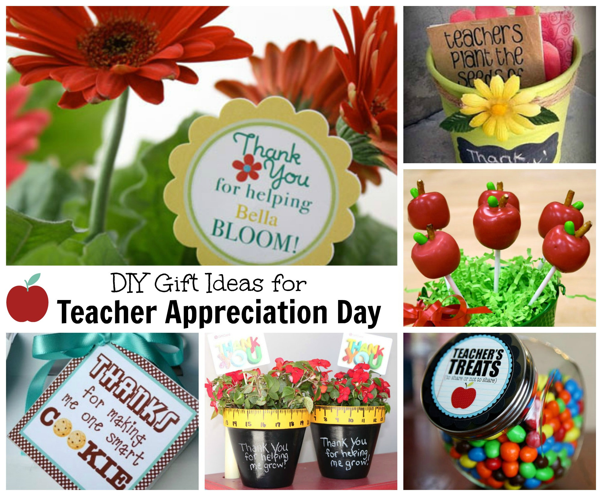 Teacher Valentine'S Day Gift Ideas
 Teacher Appreciation Gift Ideas