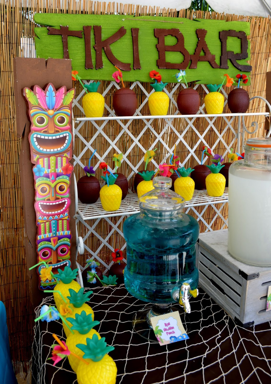 Teen Beach Movie Birthday Party
 Teen Beach Movie Birthday Party Birthday Party Ideas