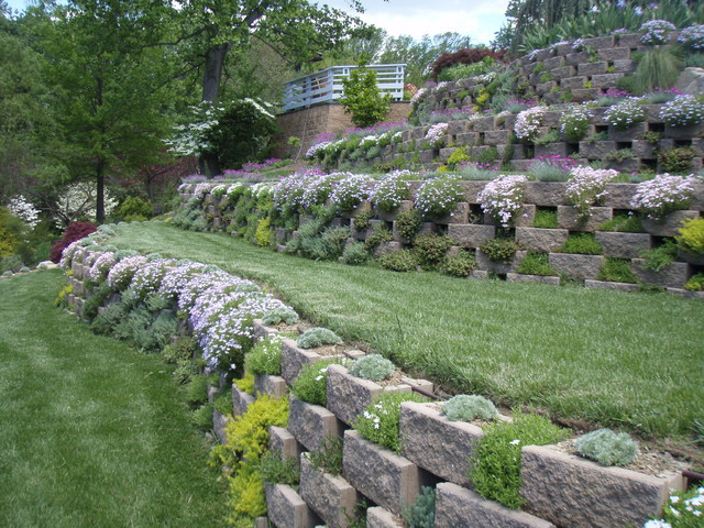 Terrace Landscape Architecture
 Living Walls A Terraced Garden in Pikesville