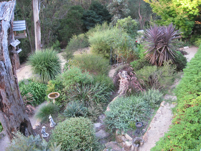 Terrace Landscape Australia
 A Terraced Garden in Victoria Australia FineGardening