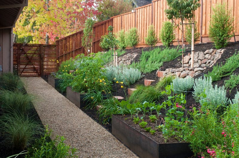 Terrace Landscape Backyard
 How To Turn A Steep Backyard Into A Terraced Garden