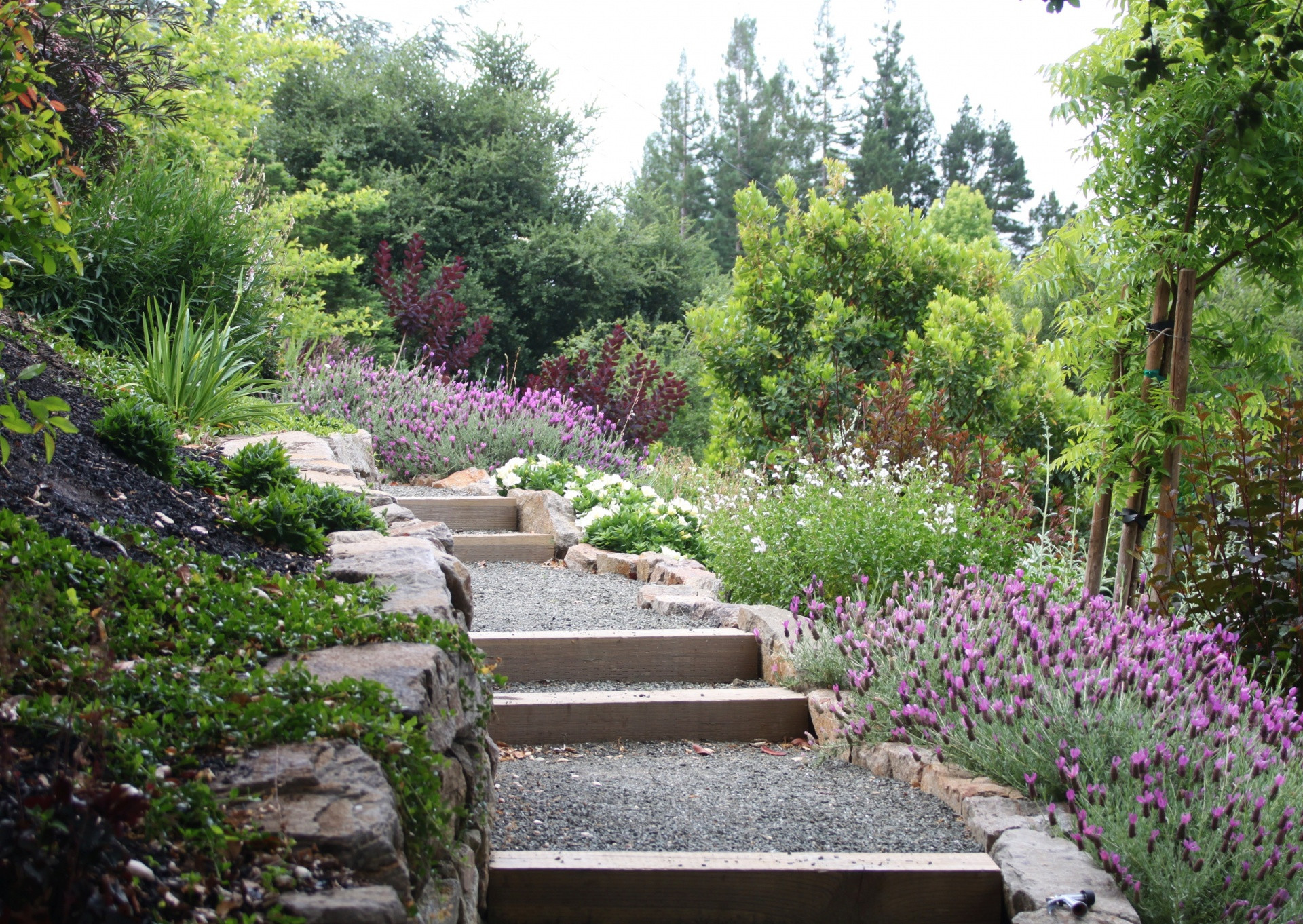 Terrace Landscape California
 A Dramatic Hillside Garden Archives