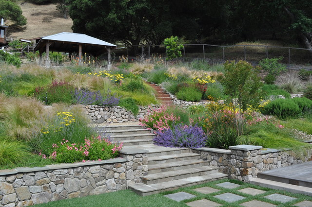 Terrace Landscape California
 Northern California regional hillside Mediterranean