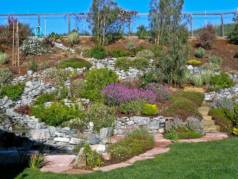 Terrace Landscape California
 Hillside Landscape Design