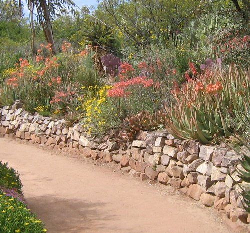 Terrace Landscape Desert
 Mild terrace landscaping for an inclined front yard