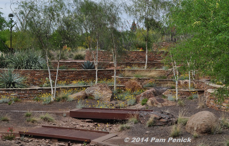 Terrace Landscape Desert
 Xeriscape is not a zeroscape Scottsdale Xeriscape Garden