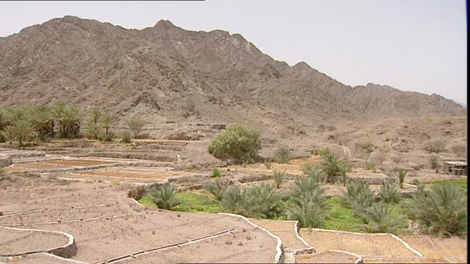 Terrace Landscape Desert
 Oasis Dubai United Arab Emirates