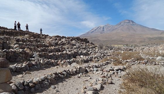 Terrace Landscape Desert
 Studying farming in the driest desert in the world UNM