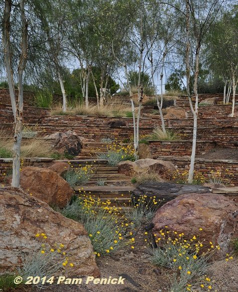 Terrace Landscape Desert
 Xeriscape is not Zeroscape Water Use It Wisely