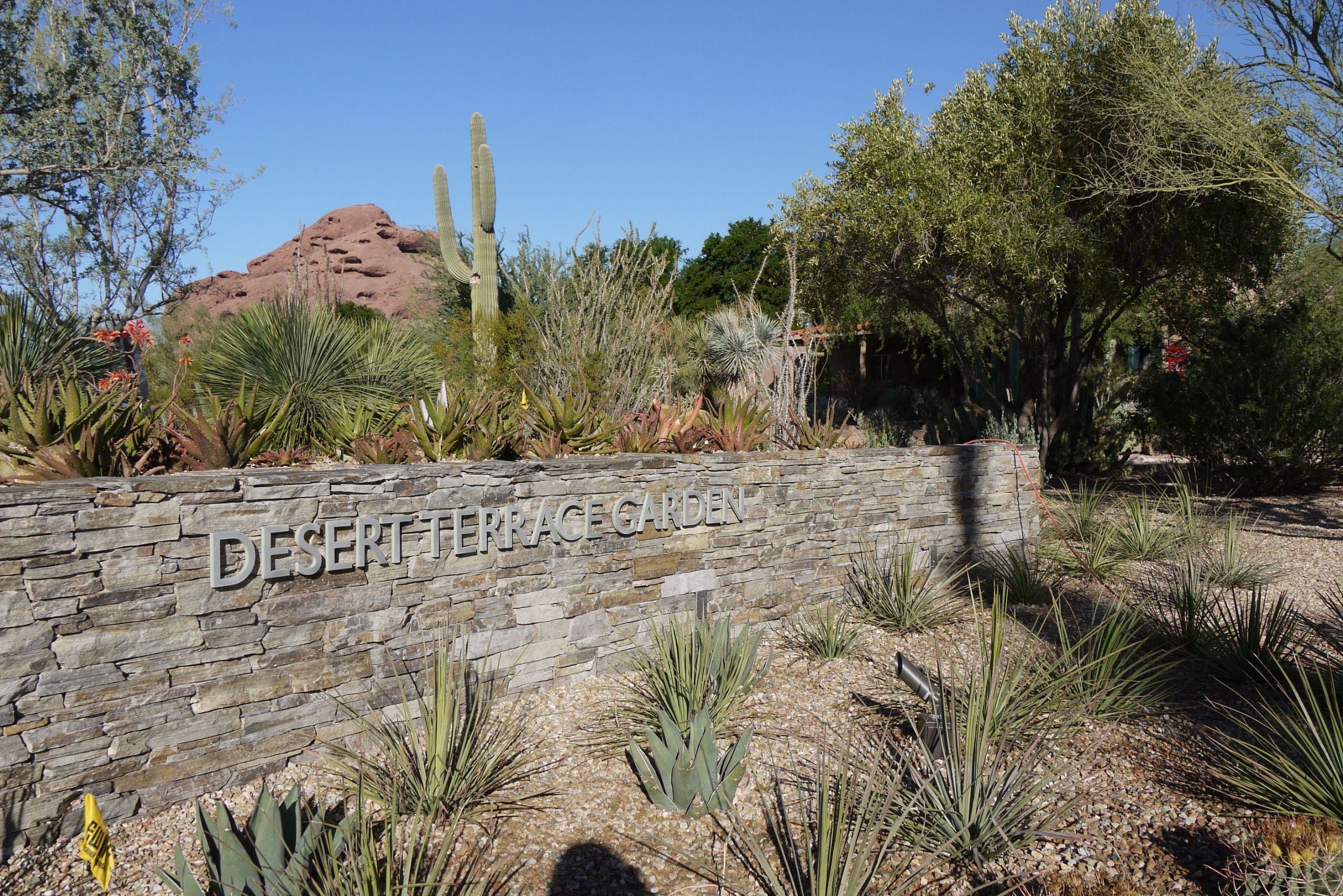 Terrace Landscape Desert
 View of the butte from the Desert Terrace Garden