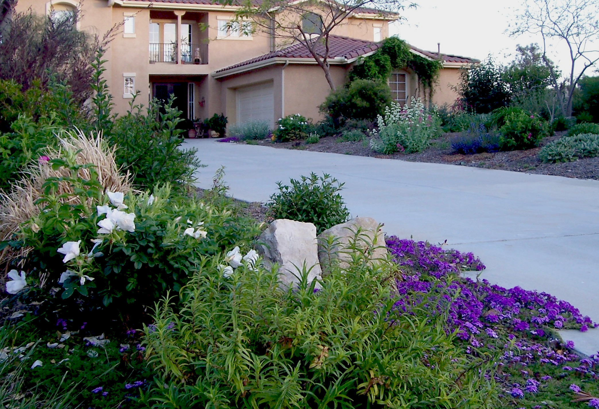 Terrace Landscape Drought Tolerant
 Beautiful drought tolerant garden in San Marcos