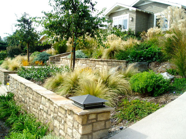 Terrace Landscape Drought Tolerant
 Solana xeriscape cameron flagstone drought tolerant