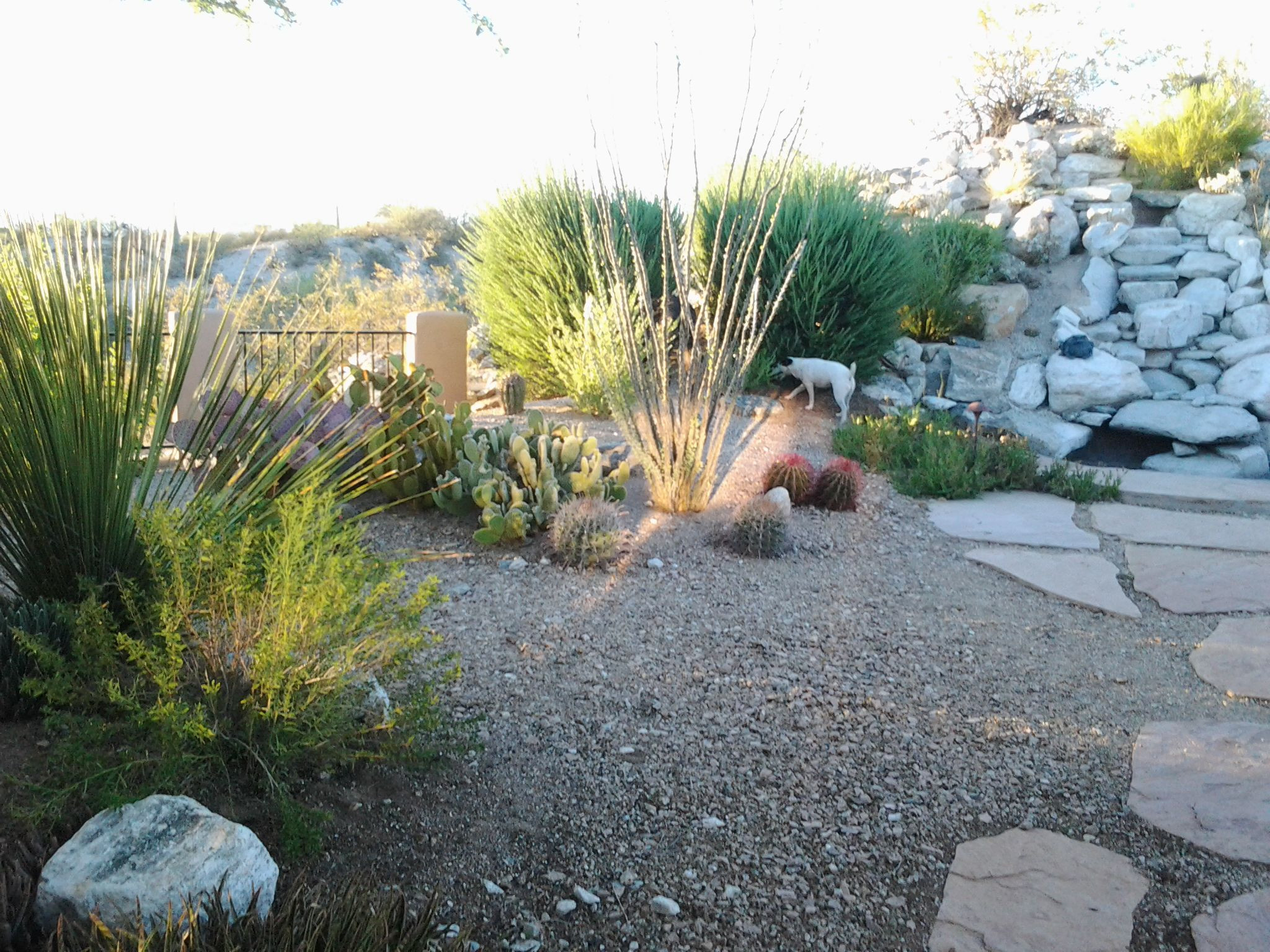 Terrace Landscape Drought Tolerant
 Make Simple Fresh and Modern Drought Tolerant Landscaping