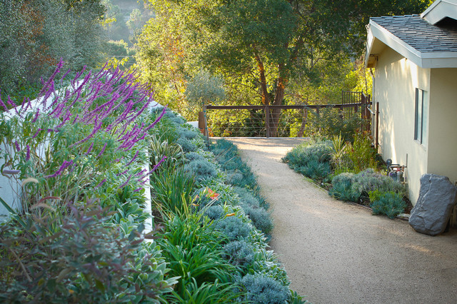 Terrace Landscape Drought Tolerant
 Drought Tolerant Garden Terraced Mediterranean Garden and