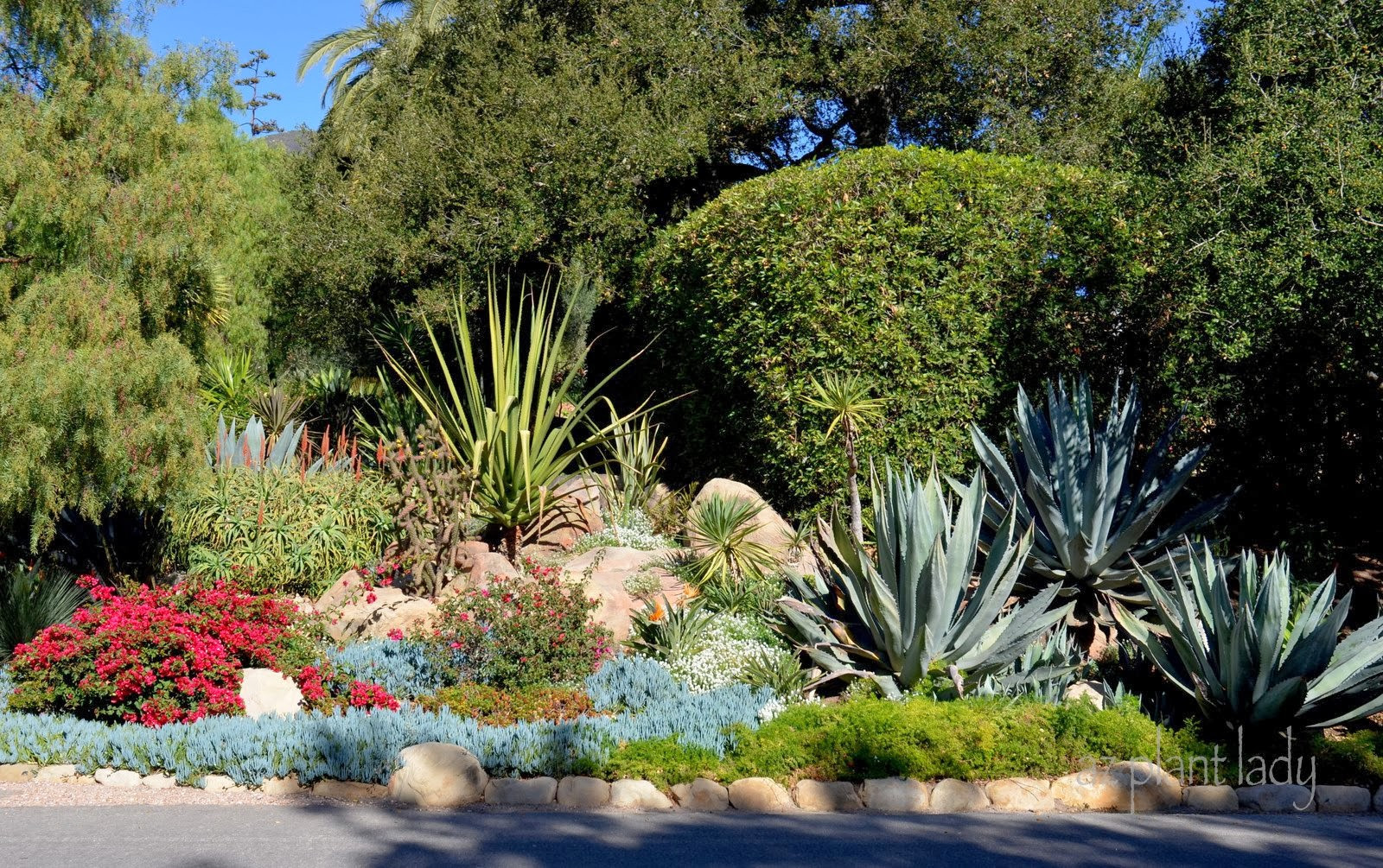 Terrace Landscape Drought Tolerant
 Drought Tolerant Landscapes Colorful or Boring