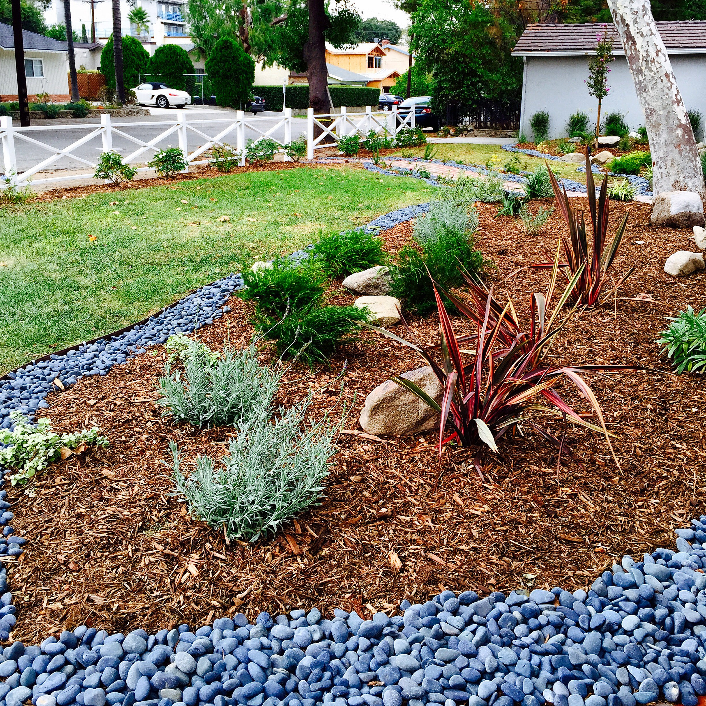 Terrace Landscape Drought Tolerant
 Hope Gardens Portfolio of Drought Tolerant Landscaping