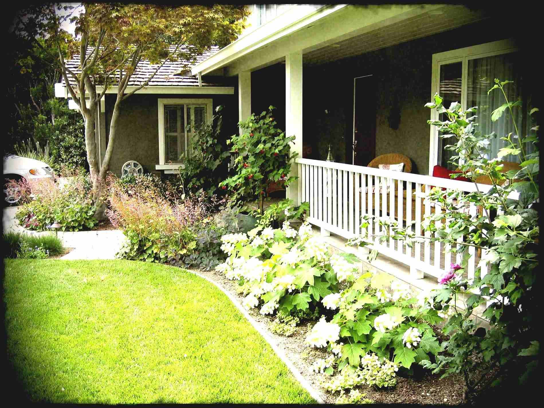 Terrace Landscape On A Budget
 Yard Bud Backyard Landscaping Ideas A Simple And Low