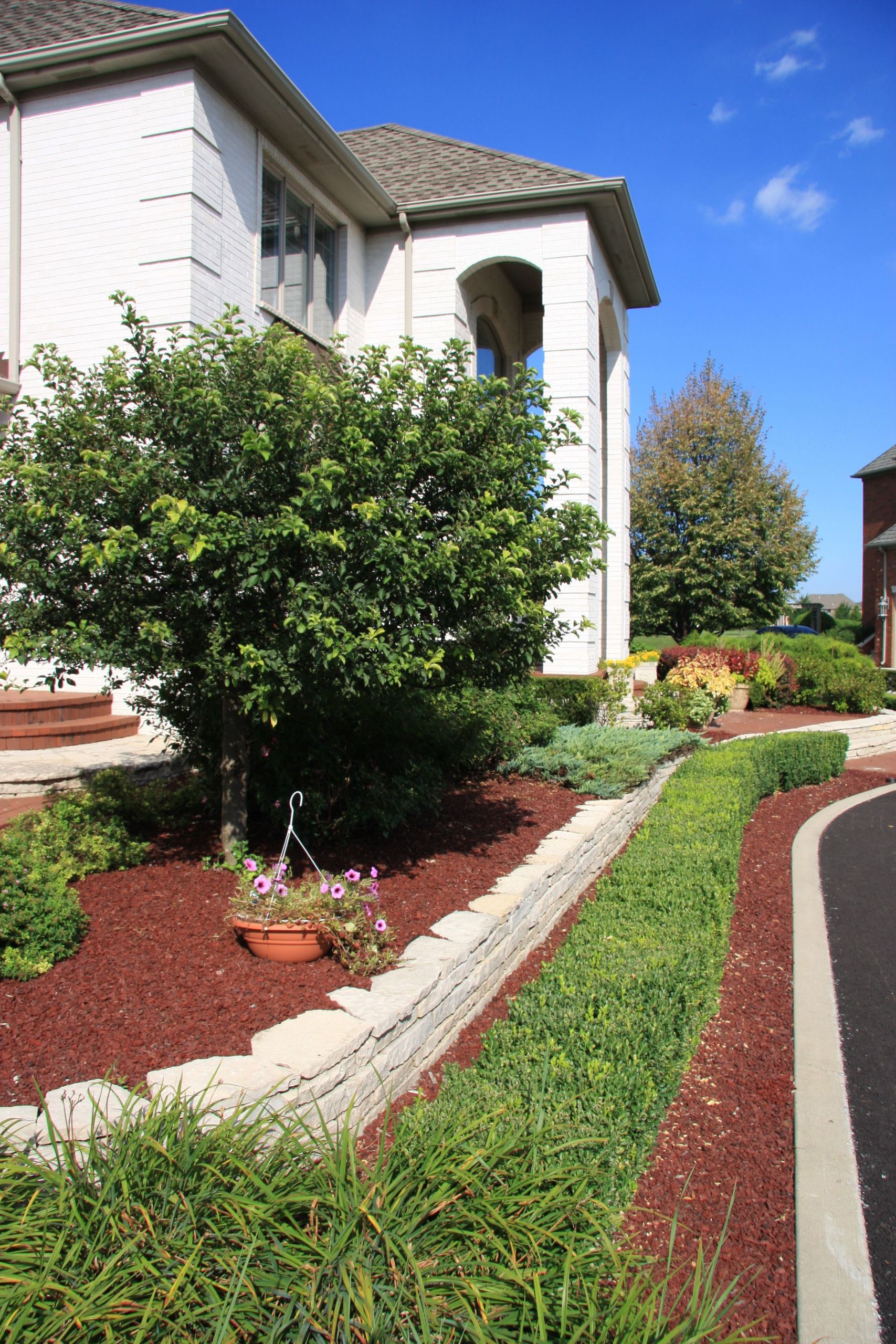 Terrace Landscape Residential
 Contemporary terrace gardens and retaining walls tend to