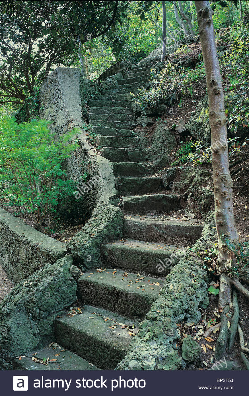 Terrace Landscape Stone
 Winding stone steps in a terraced garden Stock