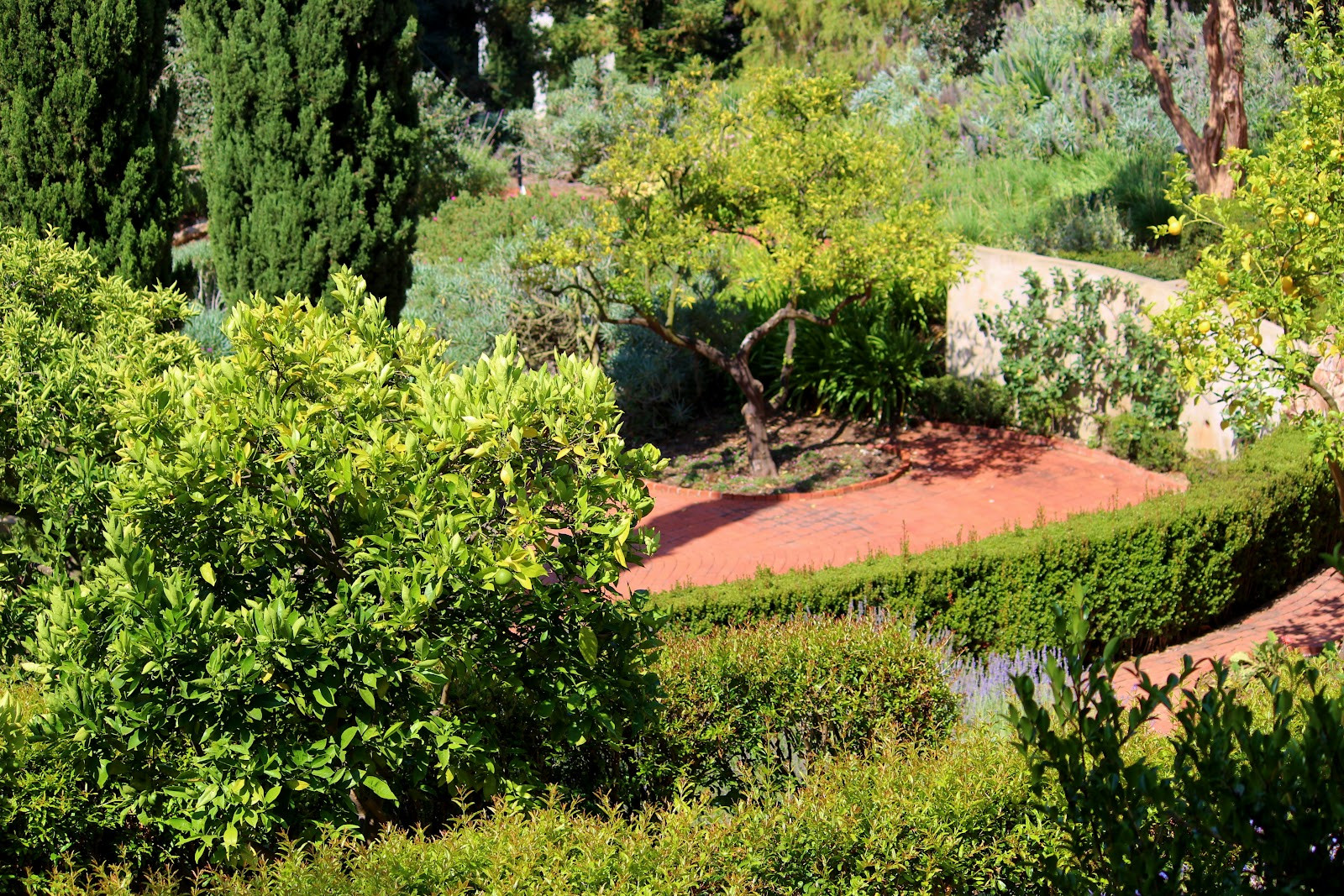 Terrace Landscape With Trees
 A Very Good Life The First Estate of Beverly Hills Home