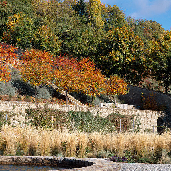 Terrace Landscape With Trees
 Charance Terrace Garden by Atelier des Paysages Bruel