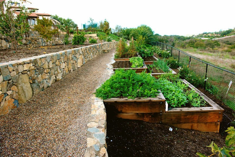 Terrace Landscaping Ideas
 How To Turn A Steep Backyard Into A Terraced Garden