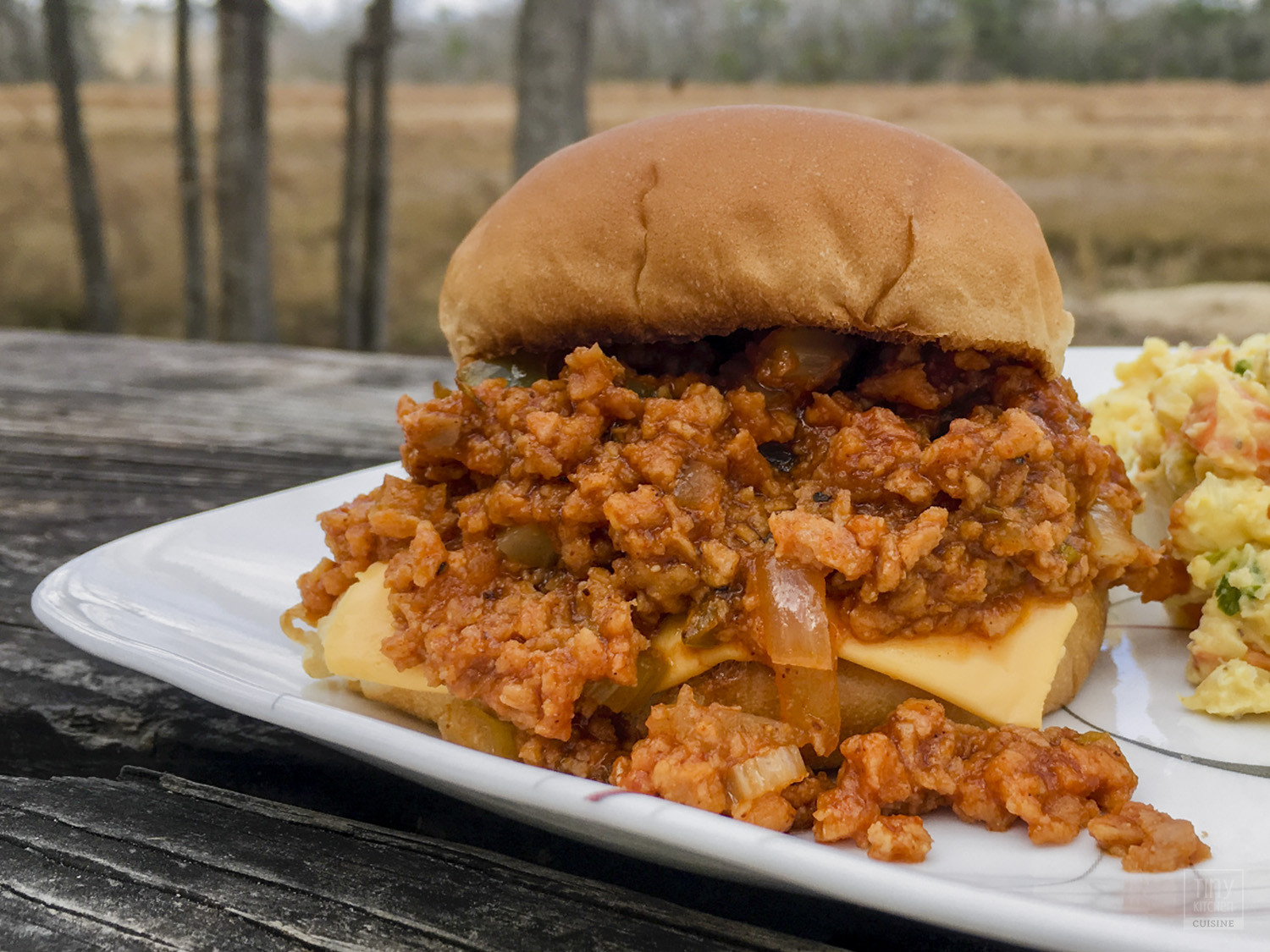 Textured Vegetable Protein Sloppy Joes
 Ve arian Sloppy Joes A Delicious and Easy Sloppy Joe