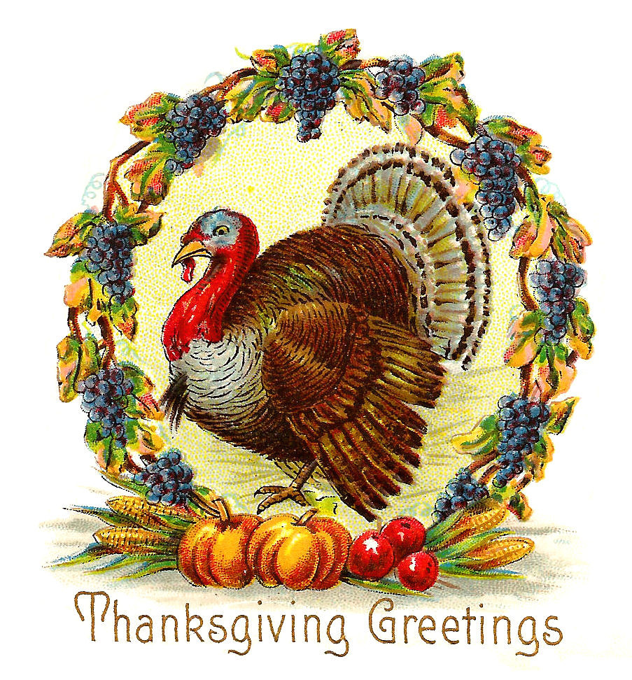 Thanksgiving Day Turkey
 Antique Free Thanksgiving Day Graphic