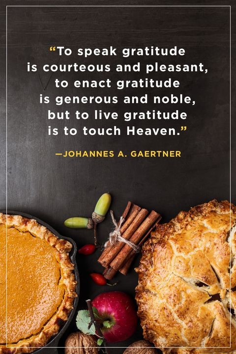 Thanksgiving Quotes Food
 70 Best Thanksgiving Quotes Happy Thanksgiving Toast Ideas