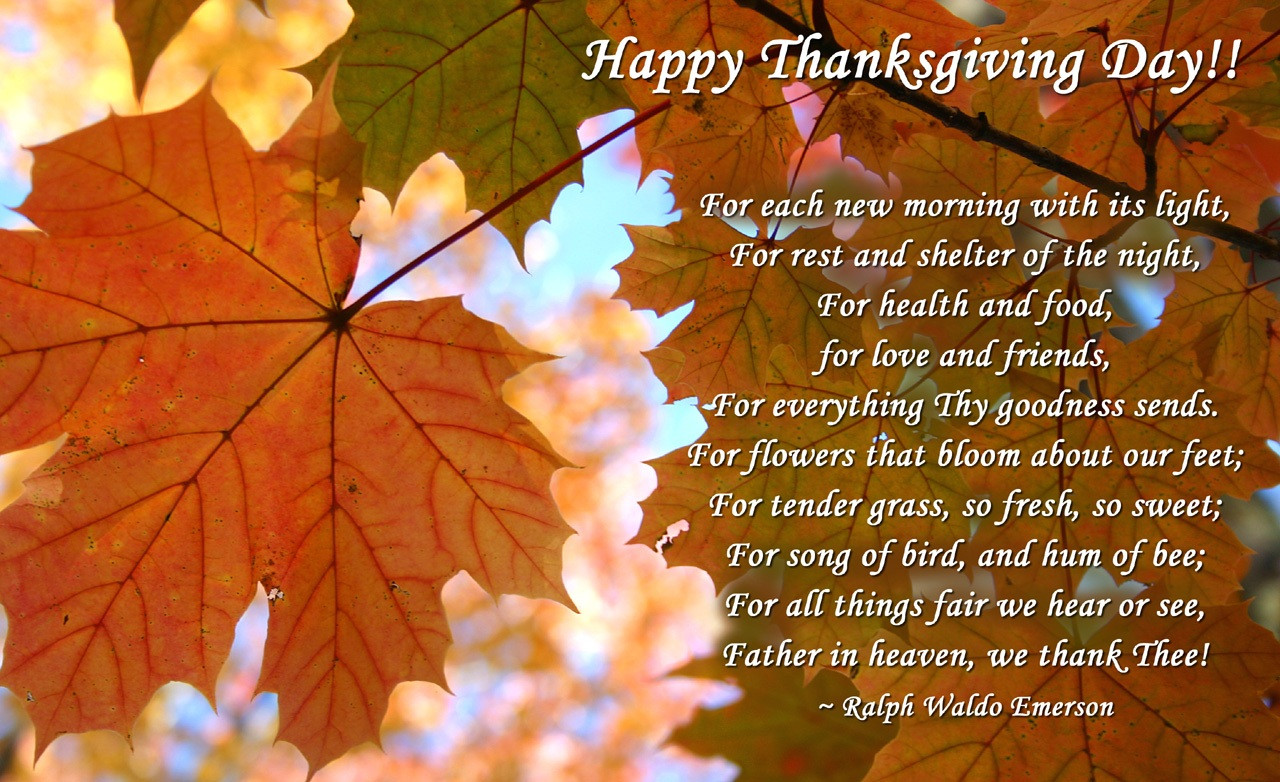 Thanksgiving Quotes For Birthday Wishes
 Free Happy Thanksgiving Day Quotes Wishes Sayings Prayers