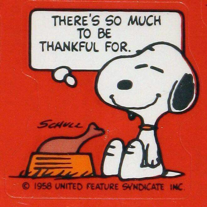 Thanksgiving Quotes Snoopy
 17 Best images about Thanksgiving day on Pinterest