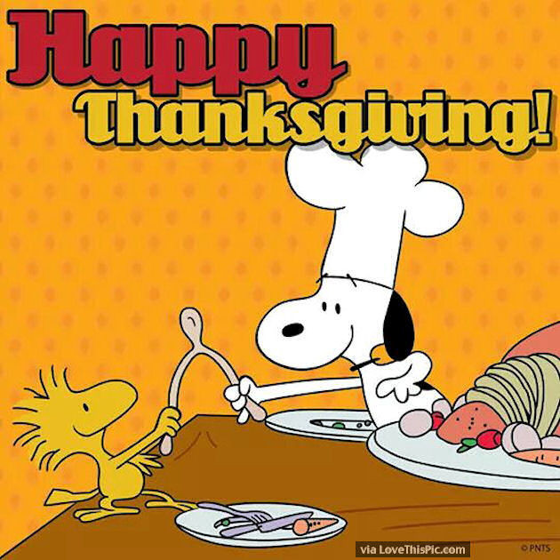 Thanksgiving Quotes Snoopy
 Snoopy And Woodstock Happy Thanksgiving Quote