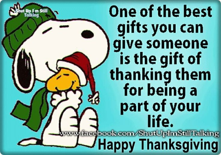 Thanksgiving Quotes Snoopy
 Snoopy Hug Woodstock Thanksgiving Quote s