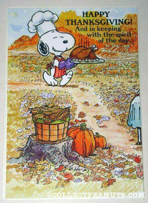 Thanksgiving Quotes Snoopy
 47 best Snoopy Peanuts Thanksgiving images on Pinterest