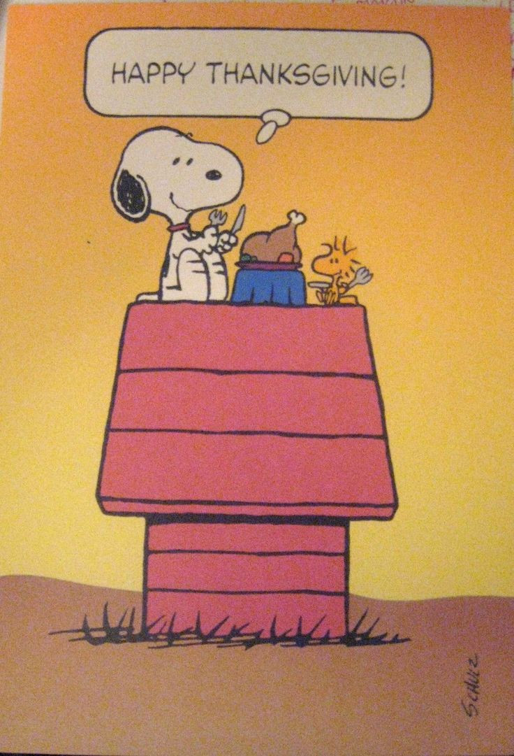 Thanksgiving Quotes Snoopy
 550 best Thanksgiving Graphics images on Pinterest