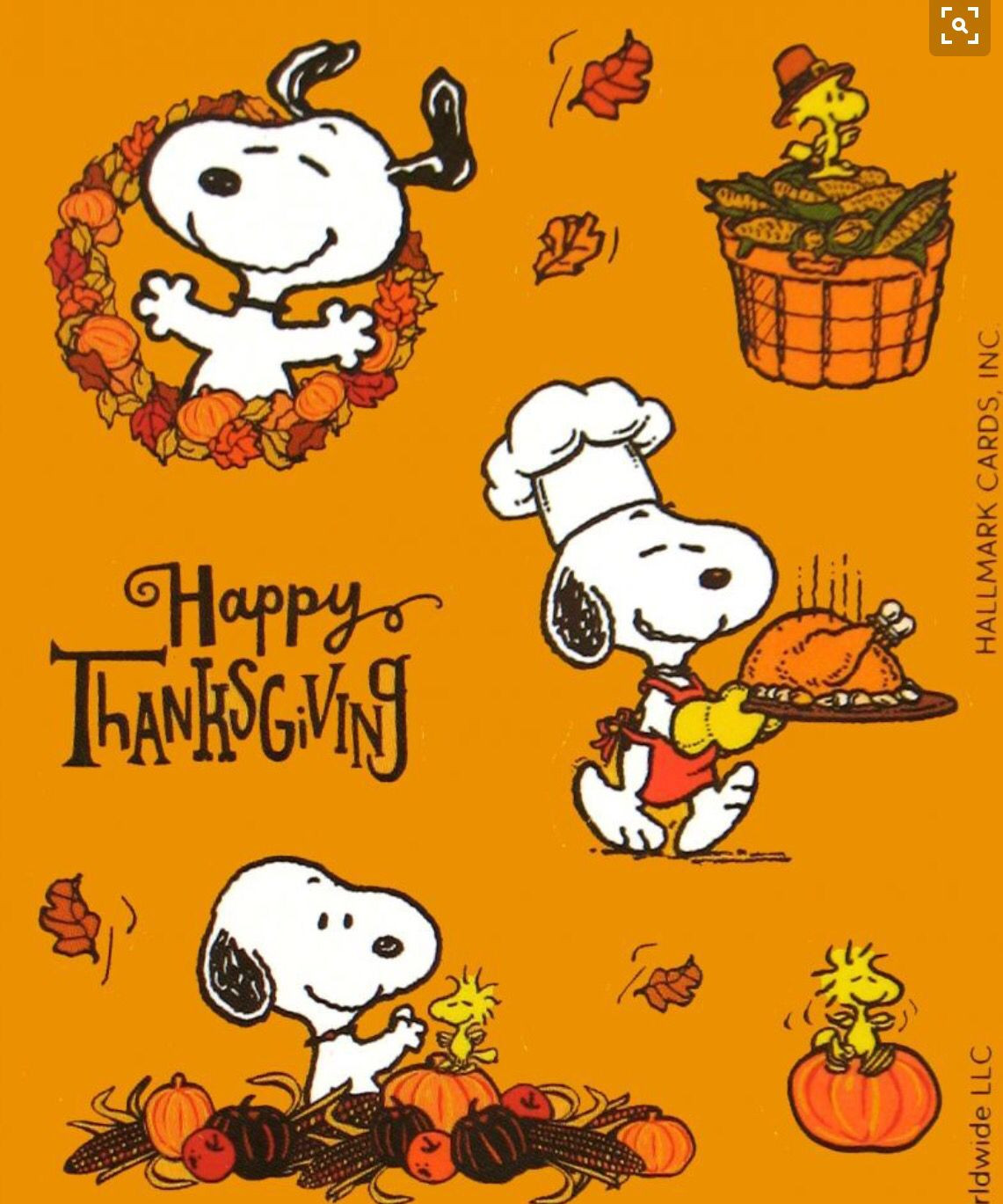 Thanksgiving Quotes Snoopy
 Top 30 Thanksgiving Quotes Snoopy Home Family Style