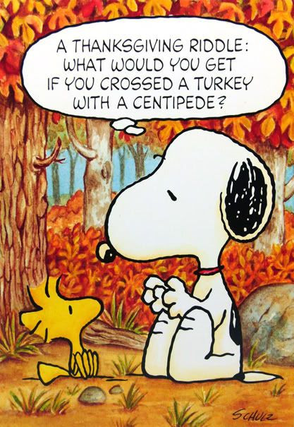 Thanksgiving Quotes Snoopy
 146 best Charles M Schulz Thanksgiving images on