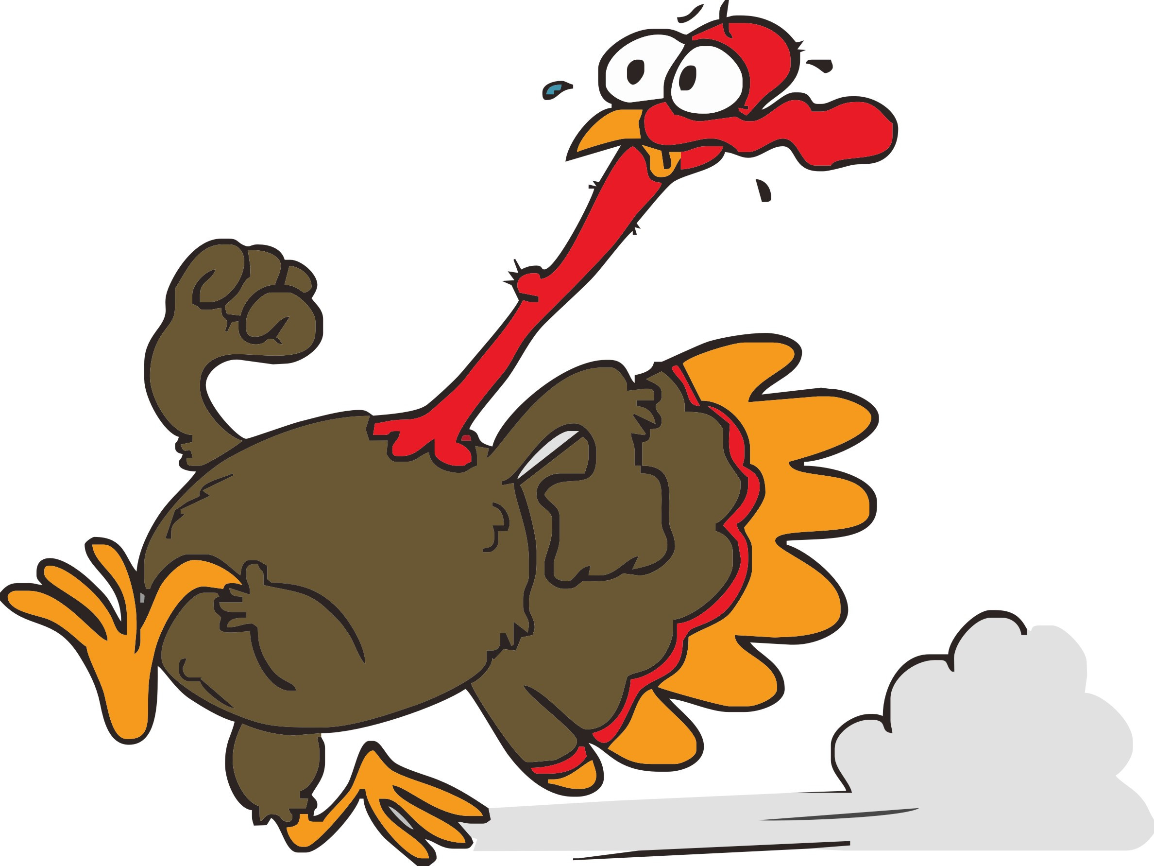 Thanksgiving Turkey Trot
 Waynesboro Family YMCA s Turkey & Gobbler Trot 2012