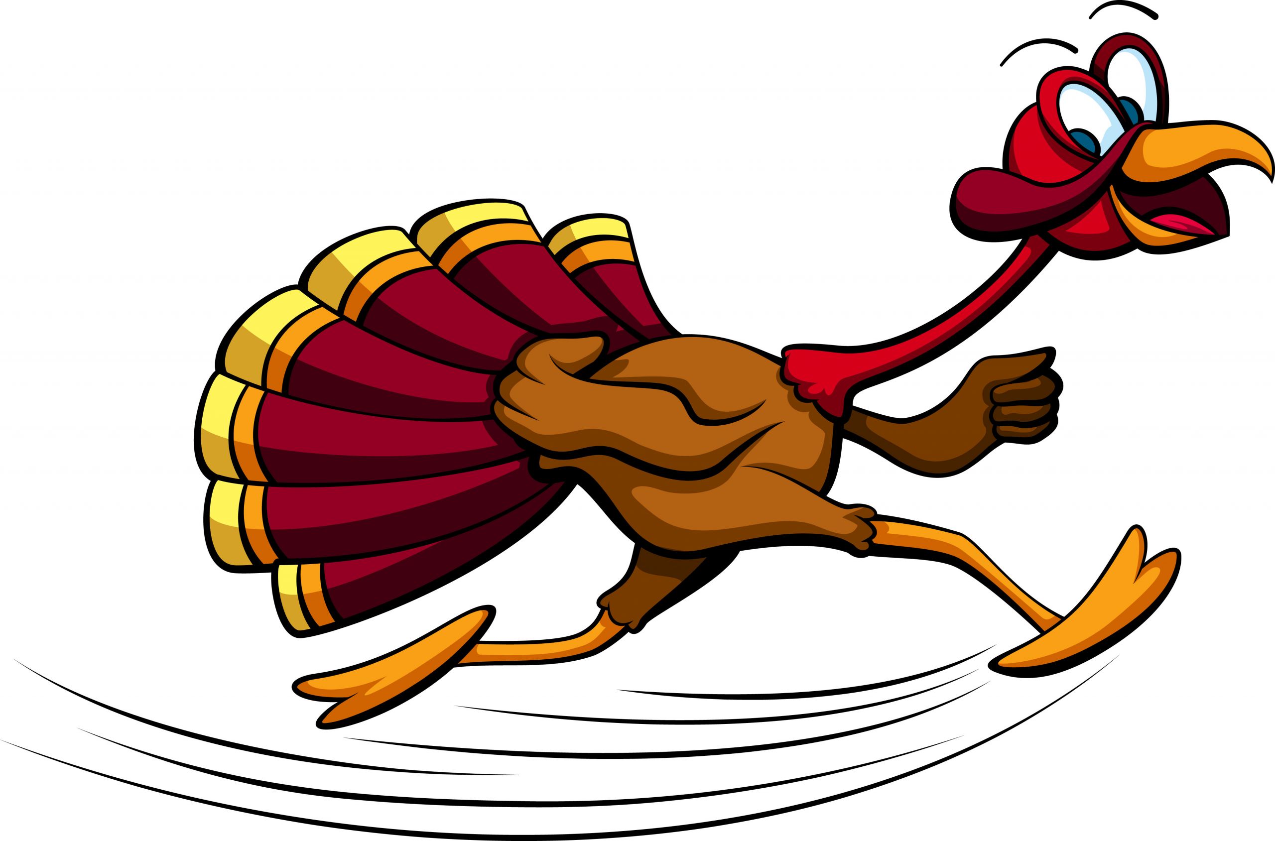 Thanksgiving Turkey Trot
 How not to gain weight during holidays Archives
