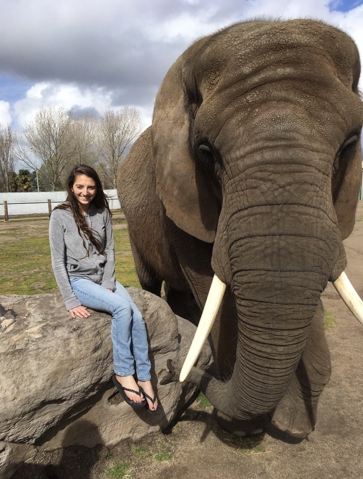 The Elephants In My Backyard
 Elephants In My Backyard – A Non Profit Raising Awareness