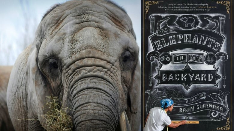 The Elephants In My Backyard
 In his new memoir The Elephants in my Backyard Rajiv