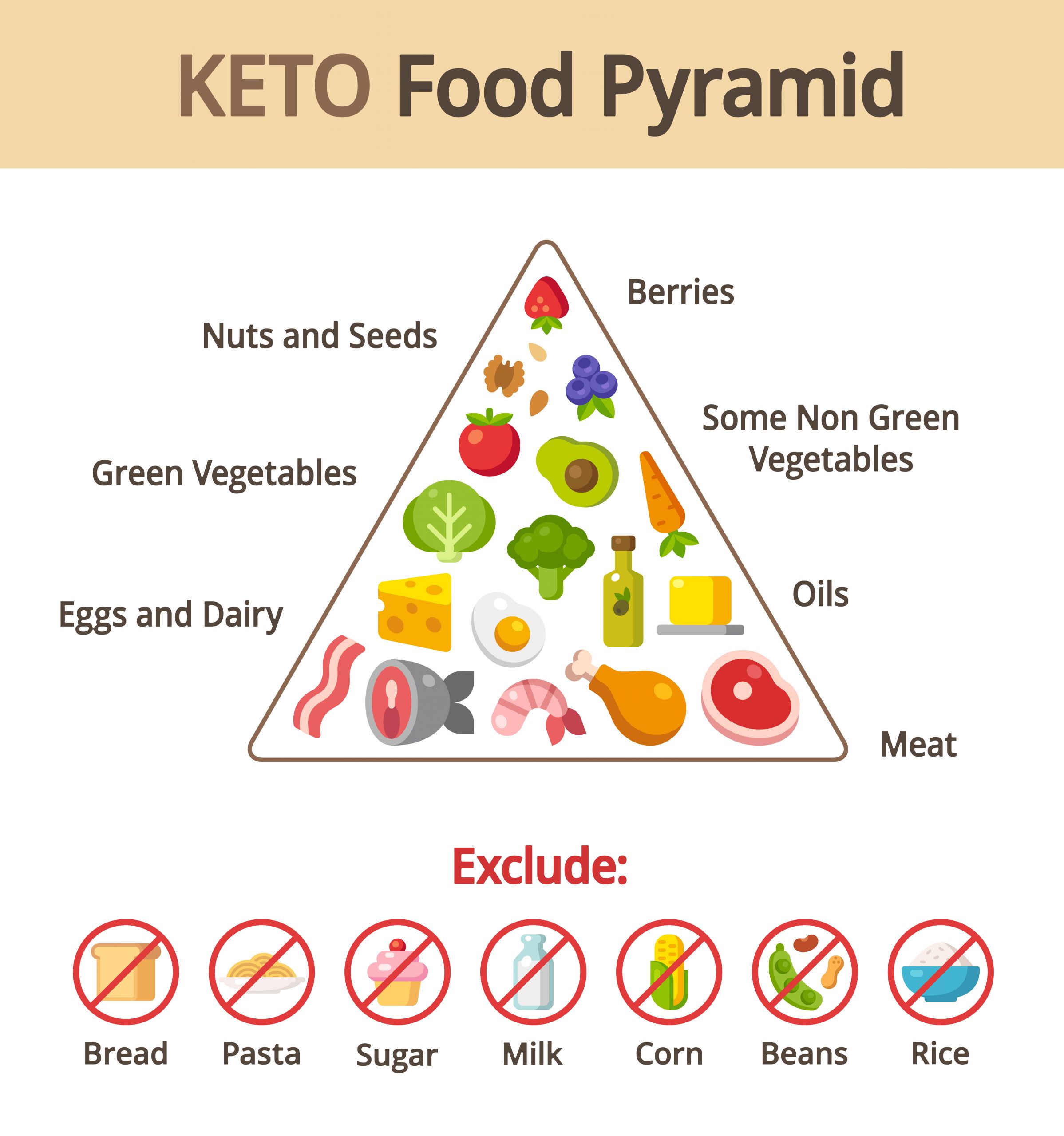 The Keto Diet
 Everything You Need To Know About The Keto Diet