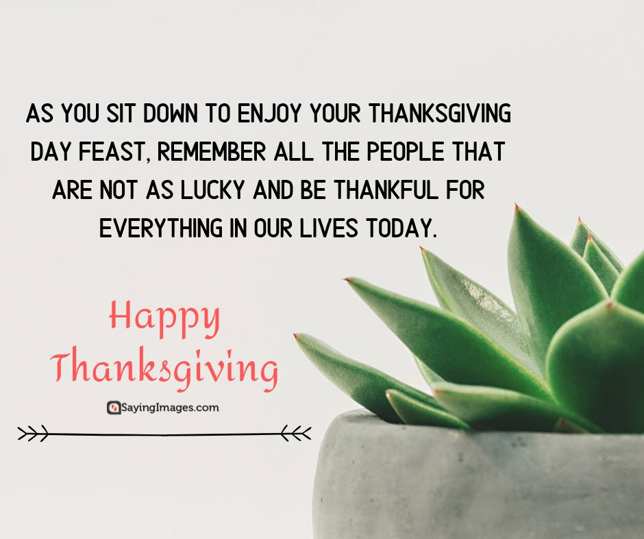 The Office Thanksgiving Quotes
 45 Best Thanksgiving Wishes and Greetings For Family and