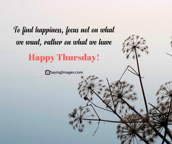 Thursday Motivational Quotes
 20 Thursday Quotes To Fill Your Day With Positive Thoughts