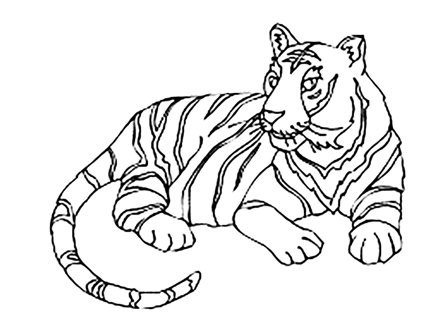 Tiger Coloring Pages For Kids
 Tigers to color for children Tigers Kids Coloring Pages