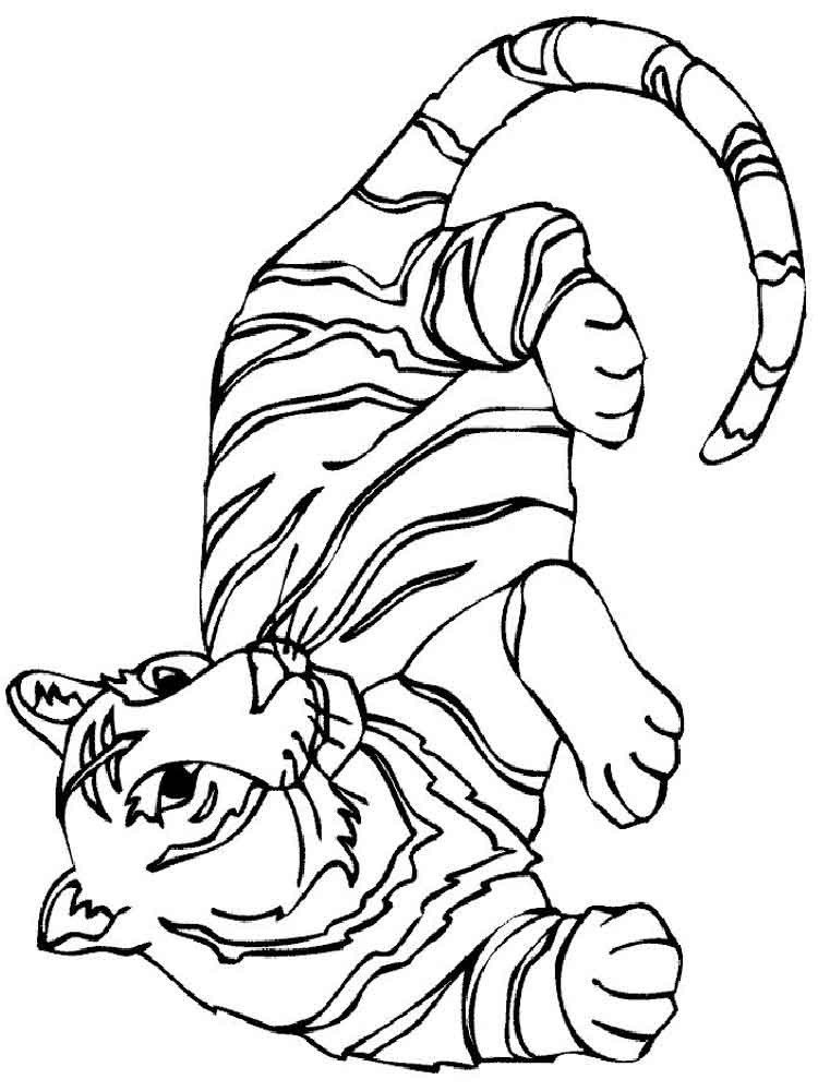 Tiger Coloring Pages For Kids
 Tigers coloring pages Download and print tigers coloring