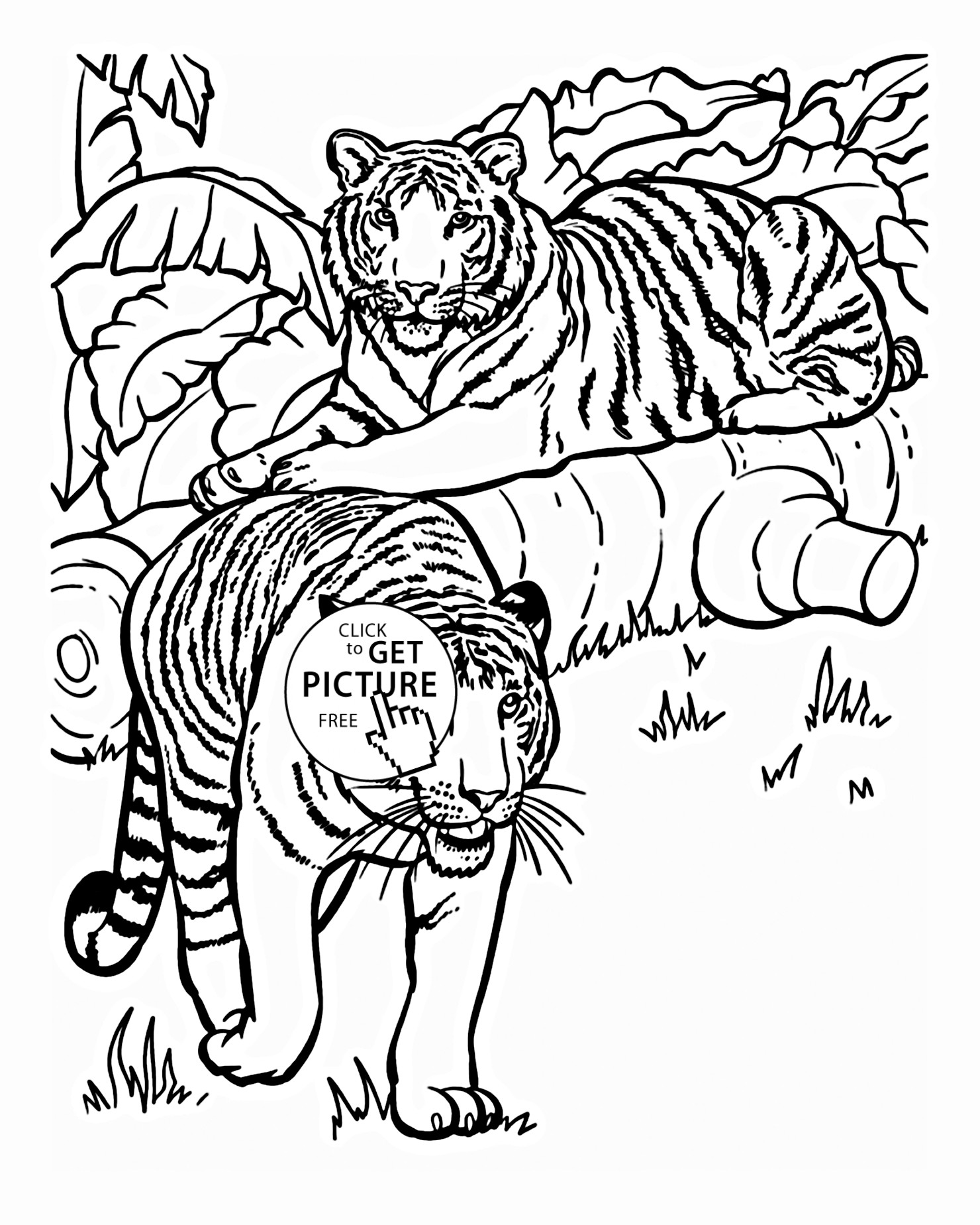 Tiger Coloring Pages For Kids
 Tiger Animal Coloring Pages Coloring Home
